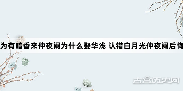 为有暗香来仲夜阑为什么娶华浅 认错白月光仲夜阑后悔了吗