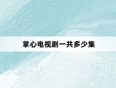 掌心电视剧一共多少集