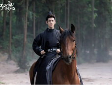 电视剧《颜心记》救了颜南星的是江心白吗