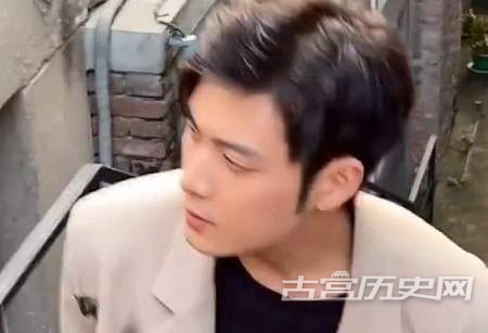 张志伟短剧合集