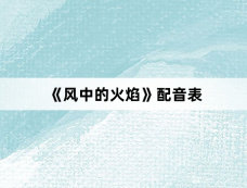 《风中的火焰》配音表