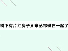 《树下有片红房子》宋丛祁琪在一起了吗