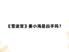 《雪迷宫》姜小海是凶手吗？