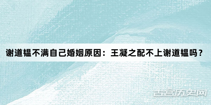 谢道韫不满自己婚姻原因：王凝之配不上谢道韫吗？