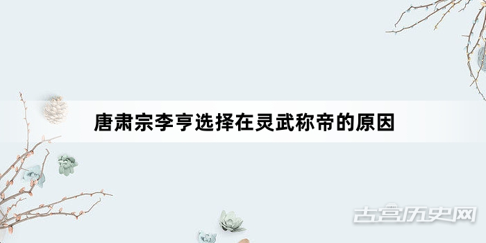 唐肃宗李亨选择在灵武称帝的原因