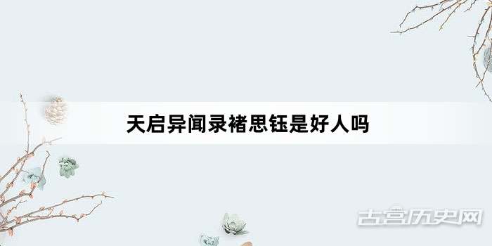 天启异闻录褚思钰是好人吗