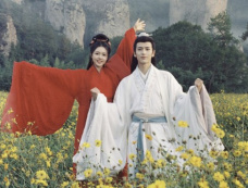 《度年华》看点介绍