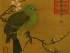 对鸟情有独钟,宋高宗赵构的养鸟趣事!