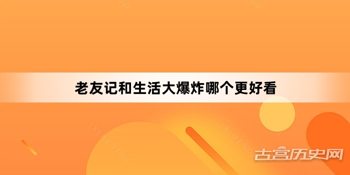 老友记和生活大爆炸哪个更好看