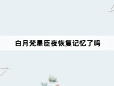白月梵星臣夜恢复记忆了吗