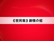 《世另我》剧情介绍