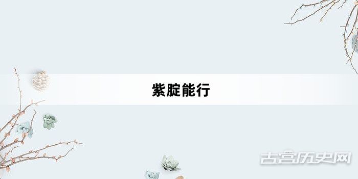 “紫腚能行”网络梗词解释