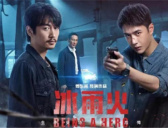 《冰雨火》原著小说