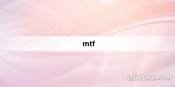 “mtf”网络梗词解释