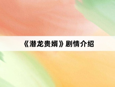 《潜龙贵婿》剧情介绍