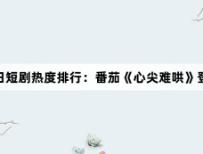 2月19日短剧热度排行:番茄《心尖难哄》登顶第一