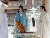 《千古玦尘》火麒麟红日转世成为柴犬了吗