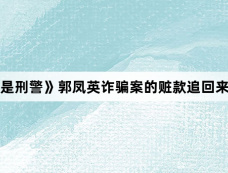 《我是刑警》郭凤英诈骗案的赃款追回来了吗