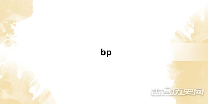 “bp”网络梗词解释