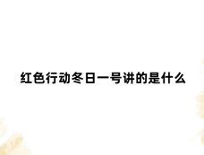 红色行动冬日一号讲的是什么