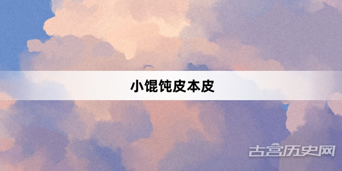 “小馄饨皮本皮”网络梗词解释