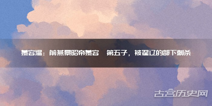 慕容温：前燕景昭帝慕容儁第五子，被翟辽的部下刺杀