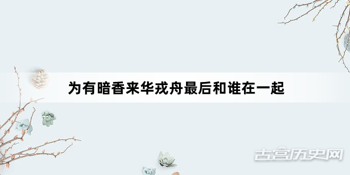 为有暗香来华戎舟最后和谁在一起