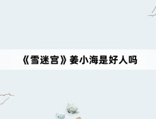 《雪迷宫》姜小海是好人吗