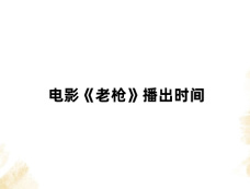 电影《老枪》播出时间