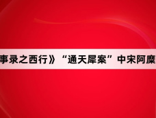 《唐朝诡事录之西行》“通天犀案”中宋阿糜与太阴会有什么关系