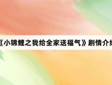 《小锦鲤之我给全家送福气》剧情介绍