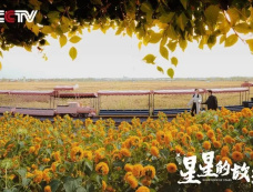 创业剧《星星的故乡》结局是什么