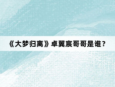 《大梦归离》卓翼宸哥哥是谁？