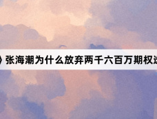 《赤热》张海潮为什么放弃两千六百万期权选择回国