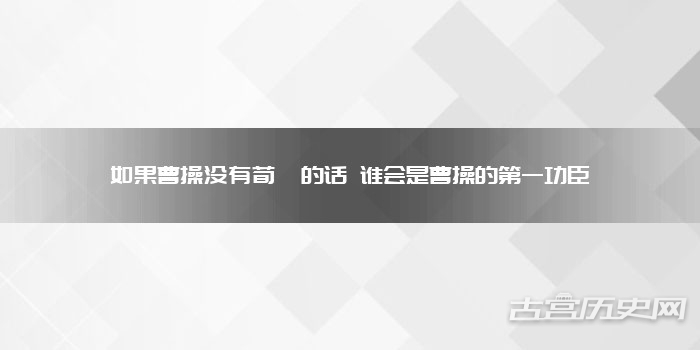 如果曹操没有荀彧的话 谁会是曹操的第一功臣