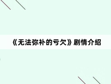 《无法弥补的亏欠》剧情介绍