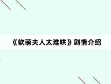 《软萌夫人太难哄》剧情介绍