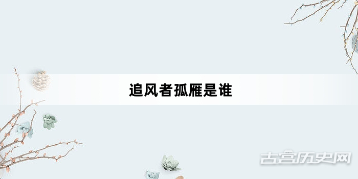追风者孤雁是谁