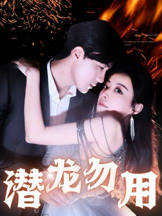 《潜龙勿用》剧情介绍