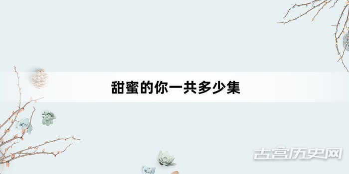 甜蜜的你一共多少集