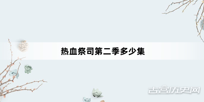 热血祭司第二季多少集
