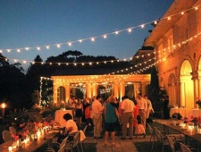 芬兰的仲夏节简介