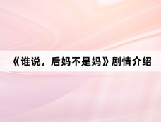 《谁说,后妈不是妈》剧情介绍