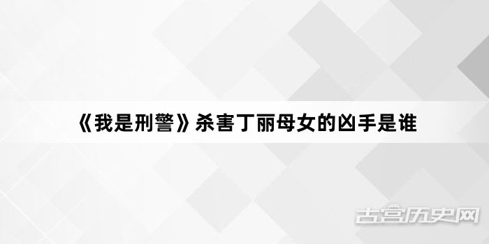 《我是刑警》杀害丁丽母女的凶手是谁