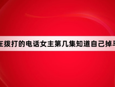 现在拨打的电话女主第几集知道自己掉马了
