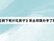 《树下有片红房子》宋丛祁琪分手了吗
