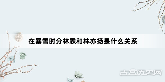在暴雪时分林霖和林亦扬是什么关系