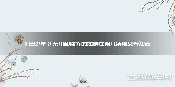 《曾少年》秦川和谢乔的恋情在第几集被父母知道