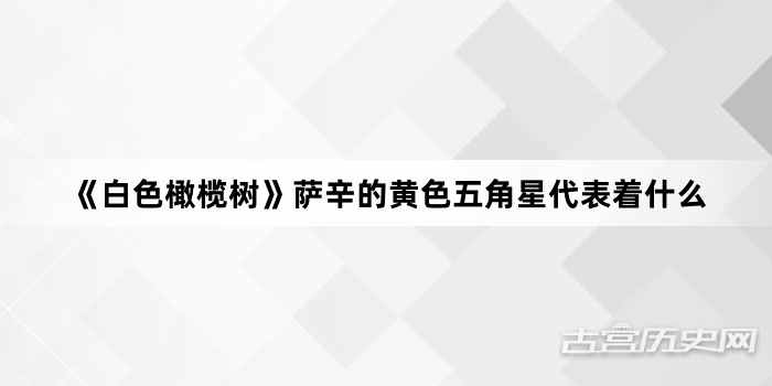 《白色橄榄树》萨辛的黄色五角星代表着什么