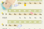 《夏日不宜入爱河》追剧日历